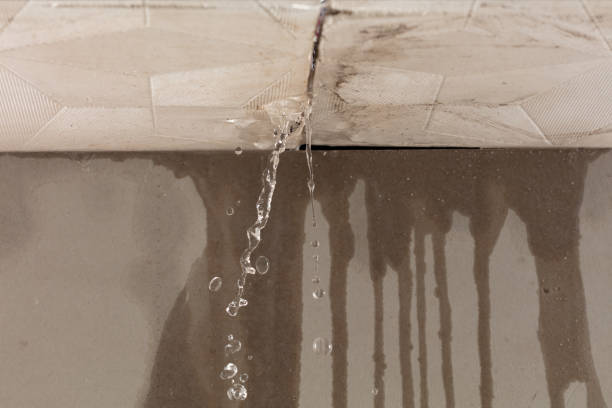 Professional Water Damage Restoration technician working in Vauxhall, NJ